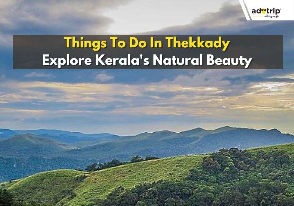 Things To Do In Thekkady